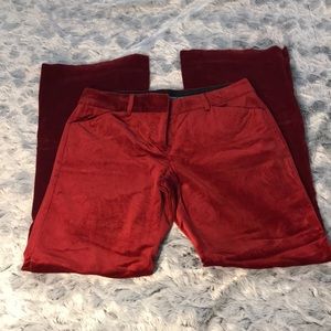 Womens Express Velvet dress pants